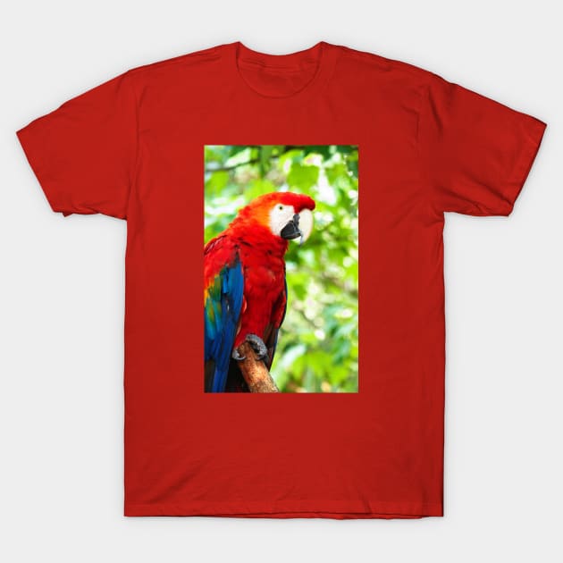 Scarlet Macaw Red Bird Perched in a Tree T-Shirt by Shell Photo & Design